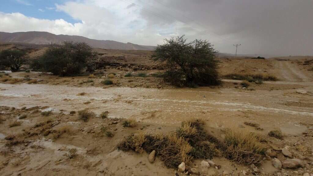 שיטפון בנחל צין, חורף תשפ"ד (2024). | עוואד שילבי רשות הטבע והגנים