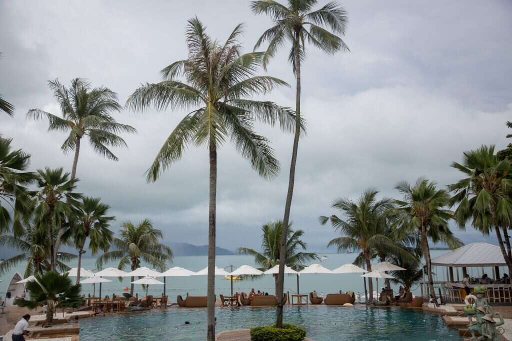 תאילנד. | Miriam Alster/FLASH90 תאילנד. | Miriam Alster/FLASH90