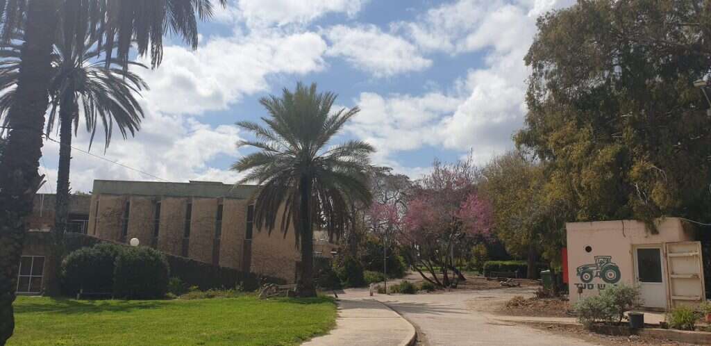 קיבוץ סעד. | איתן הימן