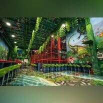 פאנקי מאנקי. | גל איסייב