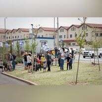 גבעת הדגן באפרת, אילוסטרציה. | גרשון אלינסון, פלאש 90