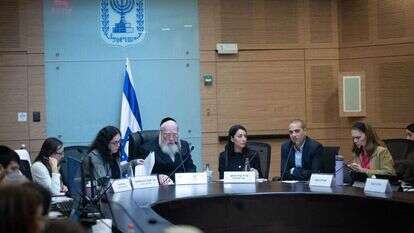 דיון בוועדת העבודה והרווחה בכנסת. | יונתן זינדל, פלאש 90 דיון בוועדת העבודה והרווחה בכנסת. | יונתן זינדל, פלאש 90