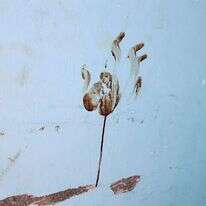 סימן יד מגואל בדם באחד מהבתים בקיבוץ ניר עוז. | AFP