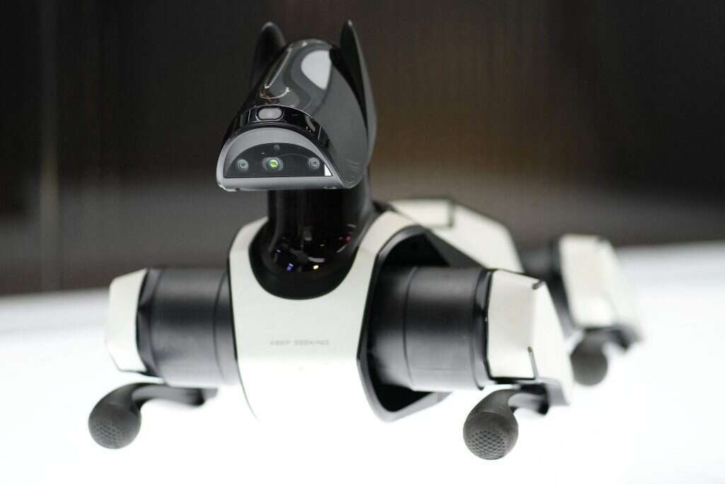 כלב רובוטי. | PAU BARRENA AFP