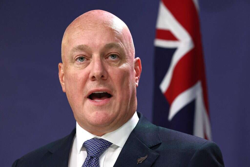 כריסטופר לקסון
, ראש ממשלת ניו זילנד. | DAVID GRAY / AFP) כריסטופר לקסון
, ראש ממשלת ניו זילנד. | DAVID GRAY / AFP)