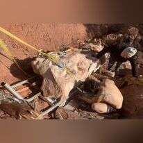 עצמות הדינוזאור. | Damien Boschetto