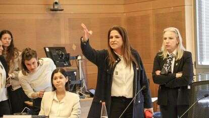 חברת הכנסת מירב בן ארי בדיון בוועדה לביטחון לאומי בכנסת, היום. | דני שם טוב - דוברות הכנסת