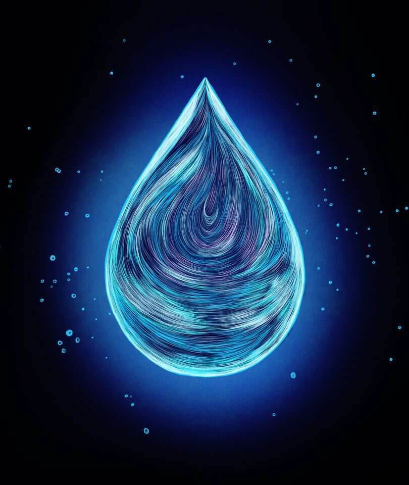 איור: שרון ארדיטי איור: שרון ארדיטי