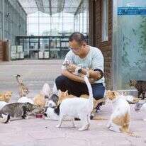 תעשיית חיות המחמד צמחה בקורונה ושווה מיליארדי דולרים. צ'אן האו, מנהל אי החתולים בשנגחאי. | Yufan Lu - Washington Post תעשיית חיות המחמד צמחה בקורונה ושווה מיליארדי דולרים. צ'אן האו, מנהל אי החתולים בשנגחאי. | Yufan Lu - Washington Post