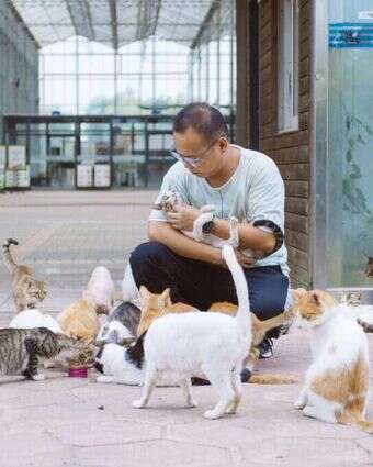 תעשיית חיות המחמד צמחה בקורונה ושווה מיליארדי דולרים. צ'אן האו, מנהל אי החתולים בשנגחאי. | Yufan Lu - Washington Post תעשיית חיות המחמד צמחה בקורונה ושווה מיליארדי דולרים. צ'אן האו, מנהל אי החתולים בשנגחאי. | Yufan Lu - Washington Post