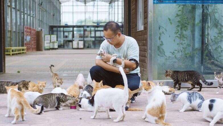 תעשיית חיות המחמד צמחה בקורונה ושווה מיליארדי דולרים. צ'אן האו, מנהל אי החתולים בשנגחאי. | Yufan Lu - Washington Post תעשיית חיות המחמד צמחה בקורונה ושווה מיליארדי דולרים. צ'אן האו, מנהל אי החתולים בשנגחאי. | Yufan Lu - Washington Post