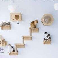 Yufan Lu - Washington Post