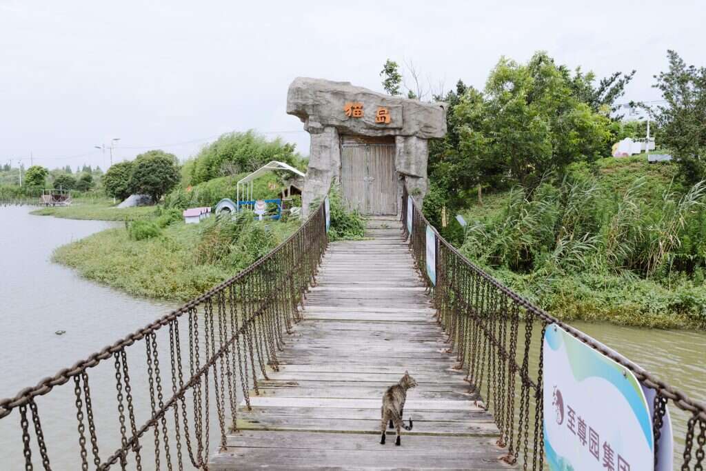 Yufan Lu - Washington Post