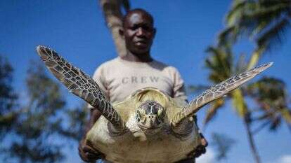 Brian Inganga, AP. למצולם אין קשר לכתבה
