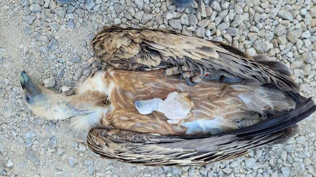 רשות הטבע והגנים