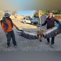 רשות הטבע והגנים