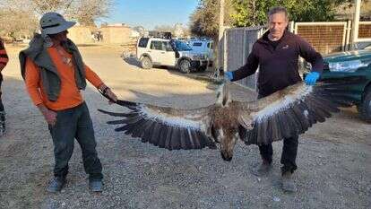 רשות הטבע והגנים