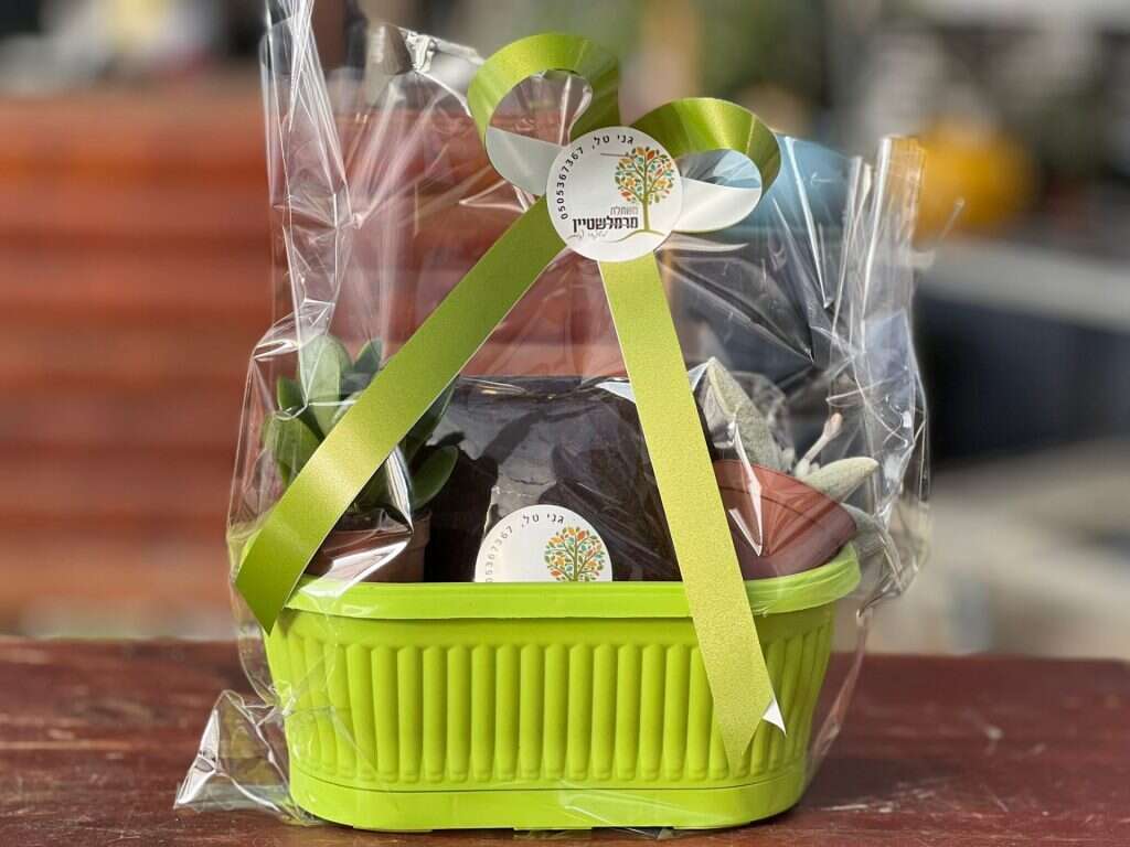 ערכת שתילת סוקלנטים ממשתלת מרמלשטיין, מהתוצרת הייחודית של עוטף עזה. | יח"צ