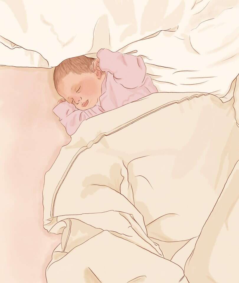 איור: שרון ארדיטי