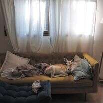 "איילה", | מטופל, הדפסת צבע על נייר ארכיוני, 2023, מתוך התערוכה.