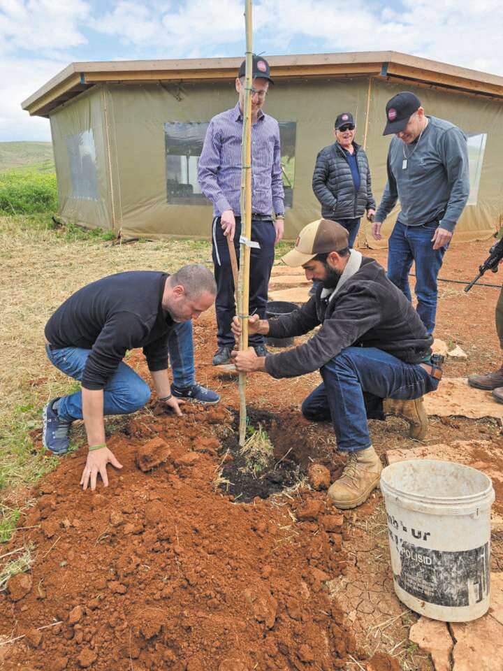 יכולות חקלאיות גבוליות. זמרי והעץ