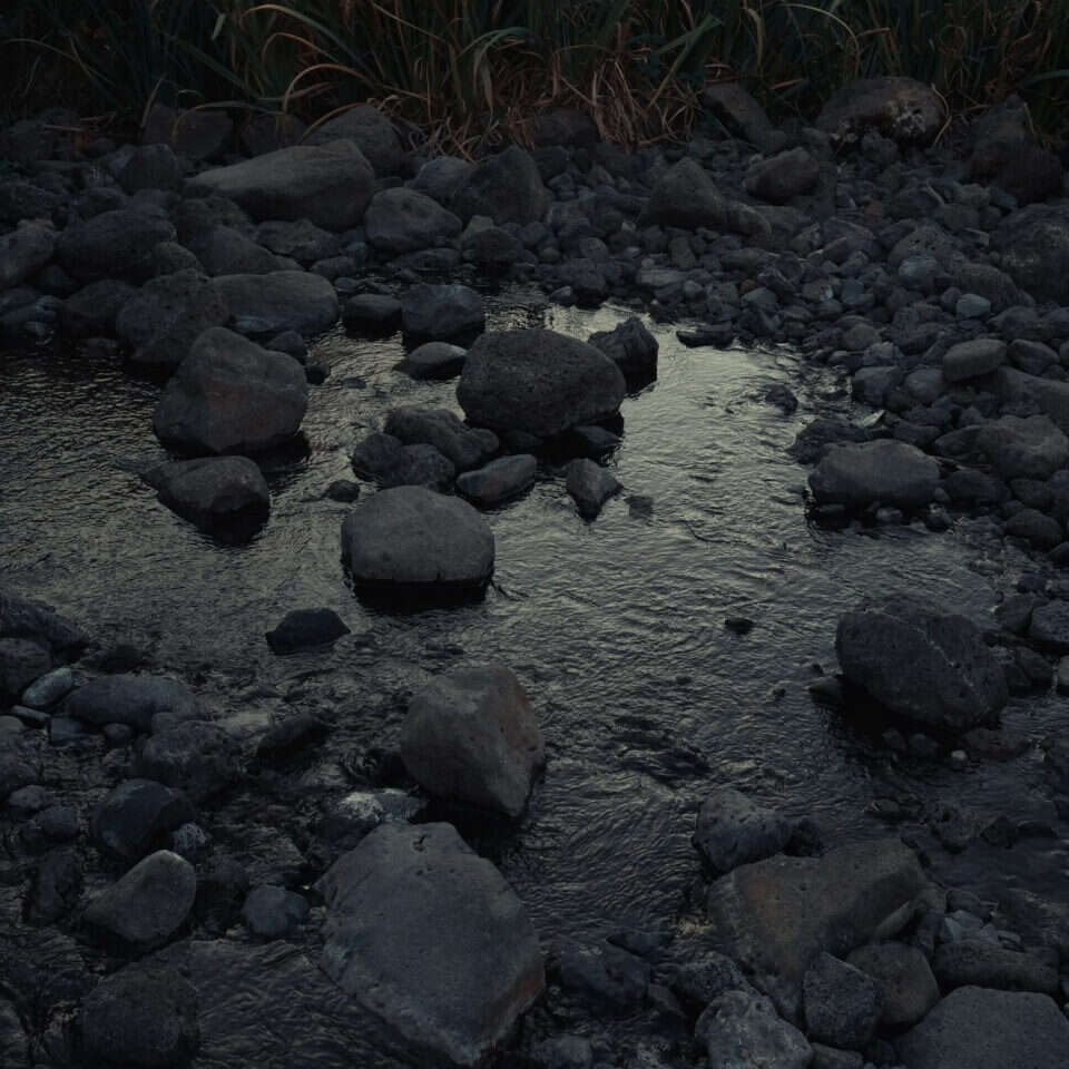 סופי ברזון מקאי, מי כסף ואדמת כוכבים, 2021, הדפסת צבע על נייר ארכיוני