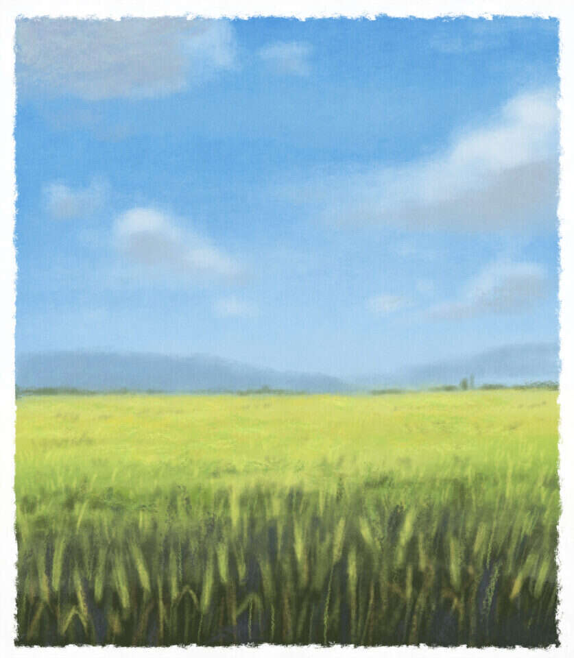 איור: מנחם הלברשטט