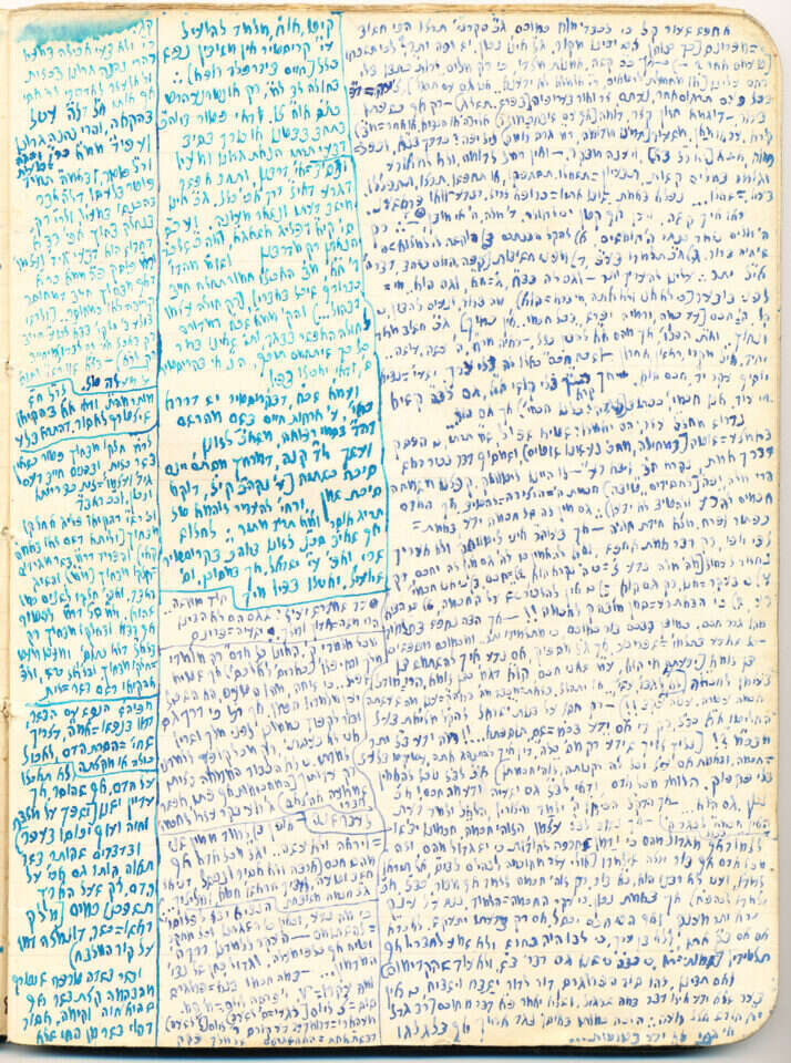 ממחברותיו של מר שושני מתוך הסרט