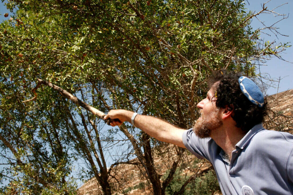 אריק אשרמן. | Melanie Fidler /Flash90 אריק אשרמן. | Melanie Fidler /Flash90