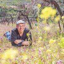 נעם יעקובסון. | נעמה שטרן