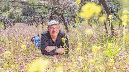 נעם יעקובסון. | נעמה שטרן נעם יעקובסון. | נעמה שטרן
