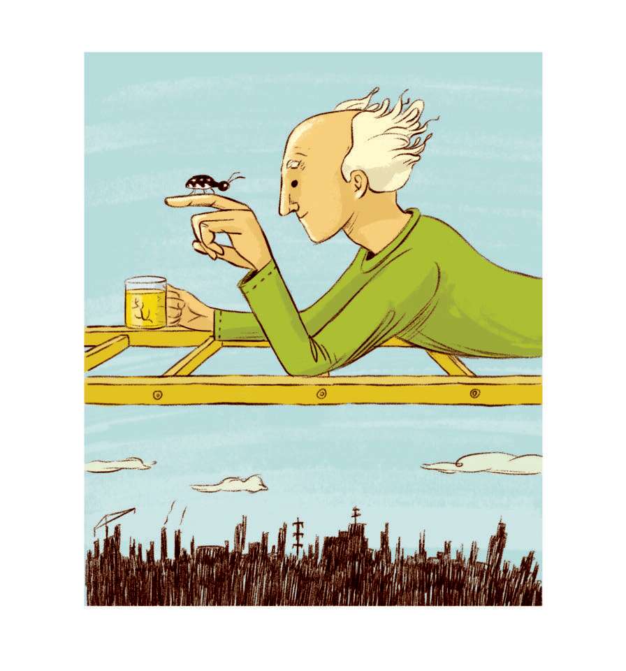 איור: מורן ברק