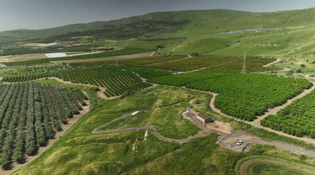 אתר עובדיה הונגש לציבור. | אמיל אלג'ם, רשות העתיקות