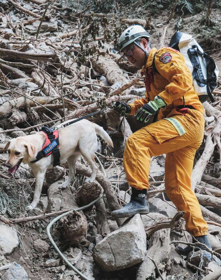 כלב החילוץ. | Hualien County Fire Department AFP כלב החילוץ. | Hualien County Fire Department AFP