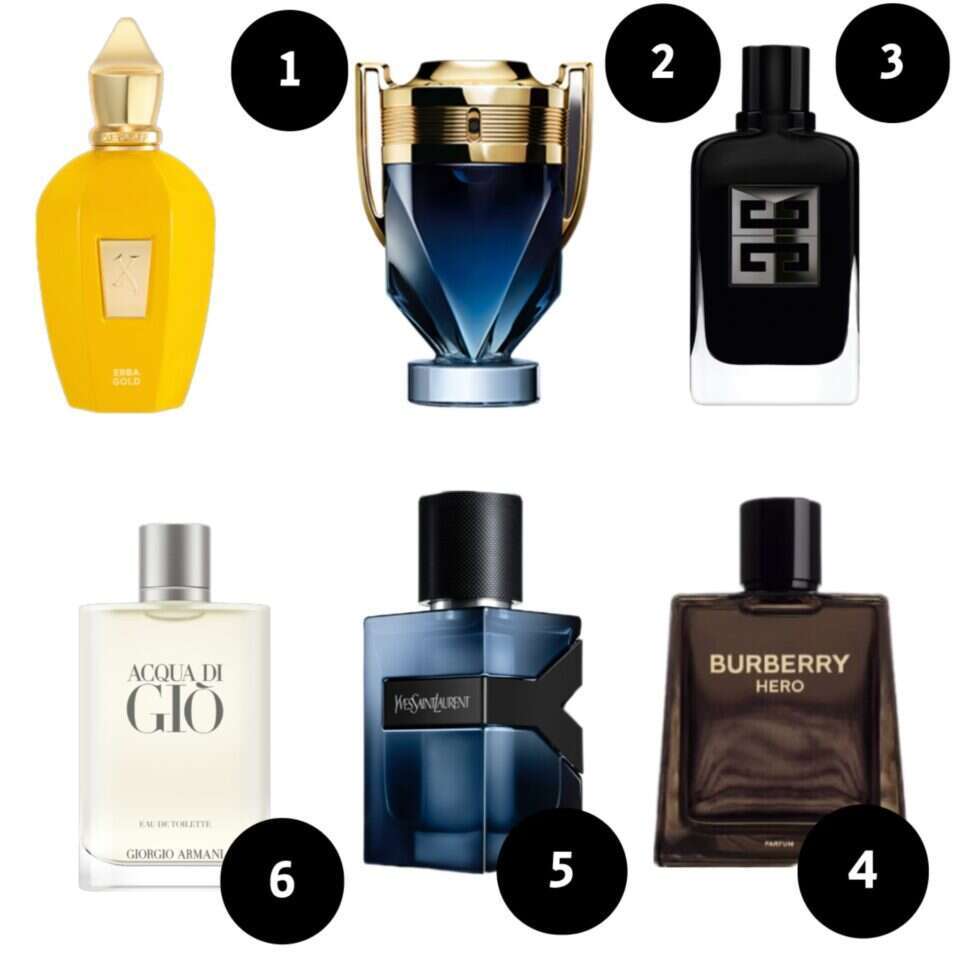 צילומים: יח"צ, יח"צ חו"ל