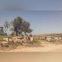 חוות טליה. | נעמה שטרן