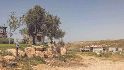 חוות טליה. | נעמה שטרן