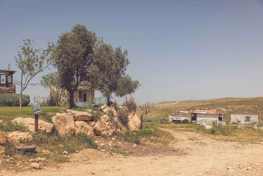 חוות טליה. | נעמה שטרן