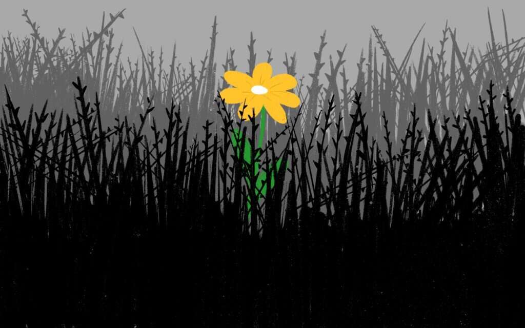 איור: רעות בורץ