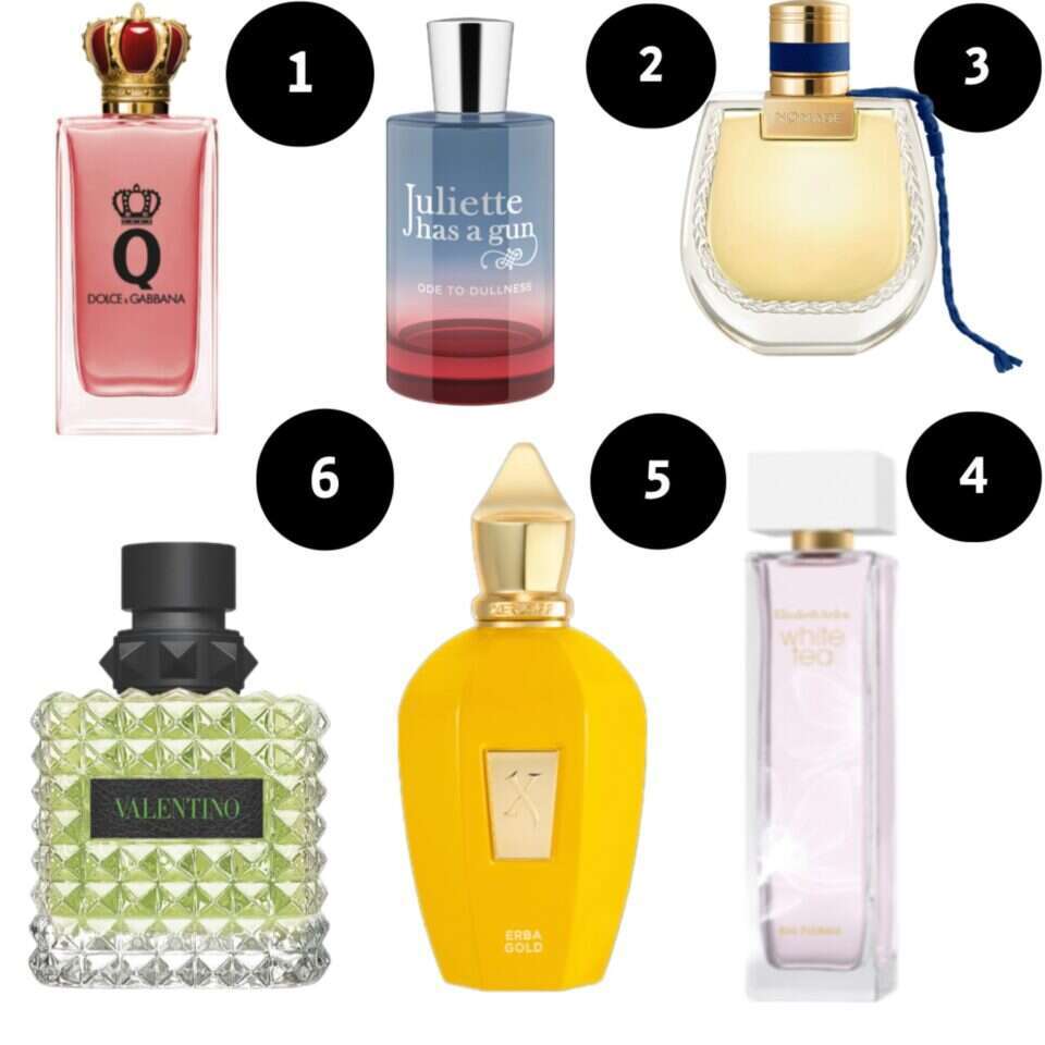 צילומים: יח"צ, יח"צ חו"ל