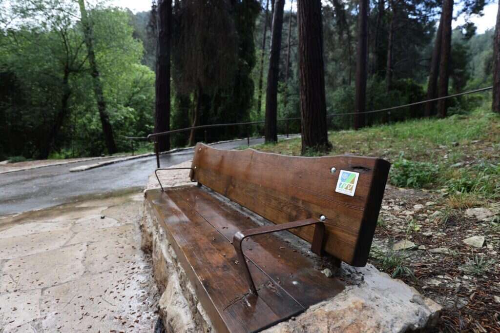 נחל השופט אחרי השיקום. | אלכס קולומוסיקי, מערך ההסברה קק״ל