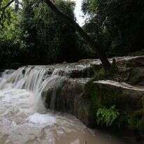 נחל השופט אחרי השיקום. | אלכס קולומוסיקי, מערך ההסברה קק״ל