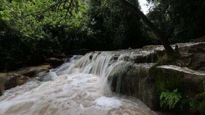 נחל השופט אחרי השיקום. | אלכס קולומוסיקי, מערך ההסברה קק״ל