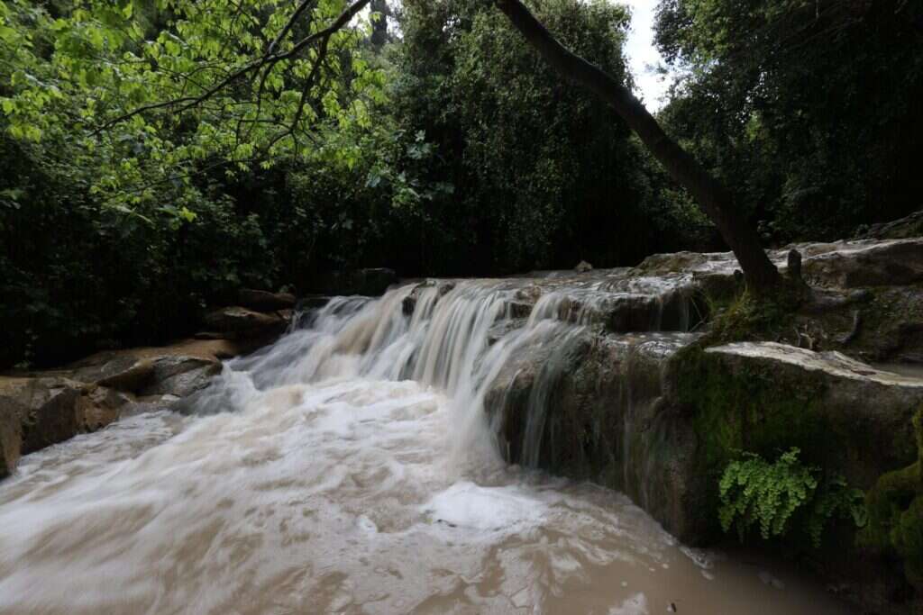 נחל השופט אחרי השיקום. | אלכס קולומוסיקי, מערך ההסברה קק״ל