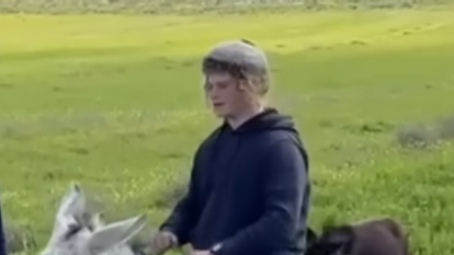 בנימין אחימאיר. | מסך מיוטיוב בנימין אחימאיר. | מסך מיוטיוב