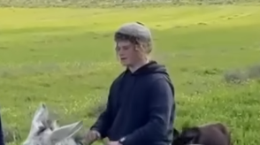 בנימין אחימאיר. | מסך מיוטיוב