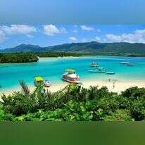 פחות אבקנים- יותר תפוקה בעבודה מרחוק. חוף באיי אוקינאווה, יפן. | שאטרסטוק