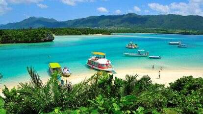 פחות אבקנים- יותר תפוקה בעבודה מרחוק. חוף באיי אוקינאווה, יפן. | שאטרסטוק