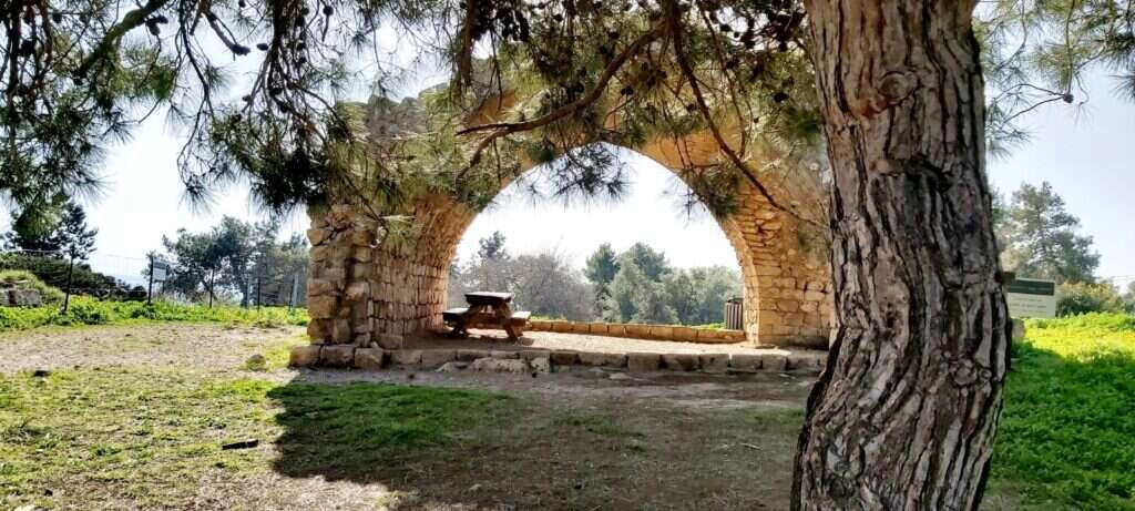 "הכל פורח" סיורים בטבע בזכרון יעקב. | רחל רנגיני