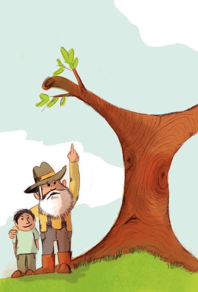 איור: איילת ינאי